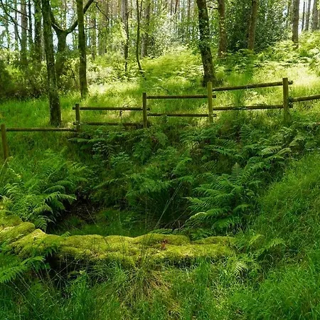 Xunqueira Sacra בית נופש Junquera de Espadañedo