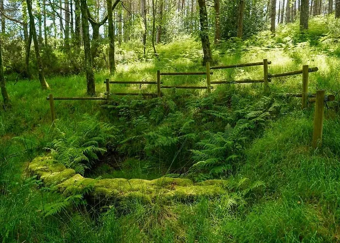 Xunqueira Sacra בית נופש Junquera de Espadañedo